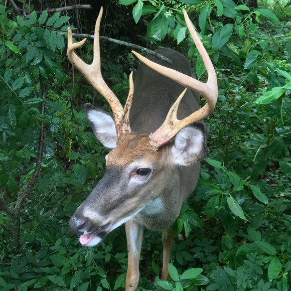 ๐๐ผโโ๏ธ๐ Tag list for all shows ๐๐๐ผโโ๏ธ Appreciate your support - Picture 4 of 9